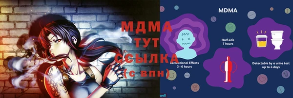 индика Арсеньев