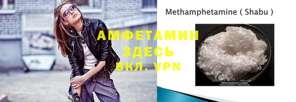 индика Арсеньев
