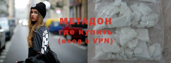 индика Арсеньев