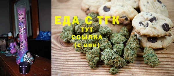 индика Арсеньев