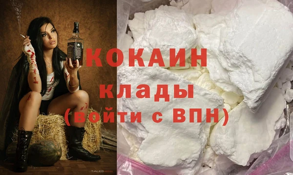 индика Арсеньев