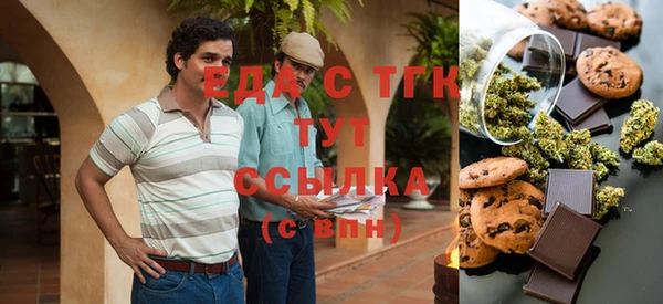 индика Арсеньев
