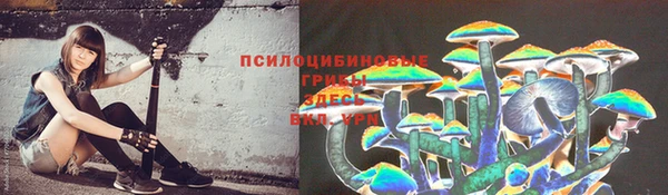 индика Арсеньев